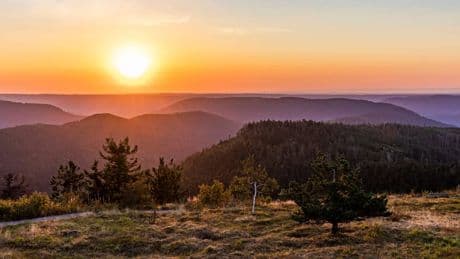 Stuttgart: Nationalpark Schwarzwald soll wachsen – Gesetz geplant