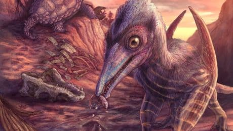 Scientists unearth fossils of ‘previously unknown species’ from dinosaur era