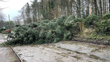 Claims for weather-related damage to homes and possessions hit record £226m