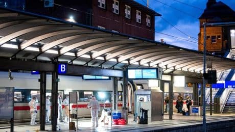 Messerangriff am Hamburger Hauptbahnhof: Freitagabend, Gleis 14
