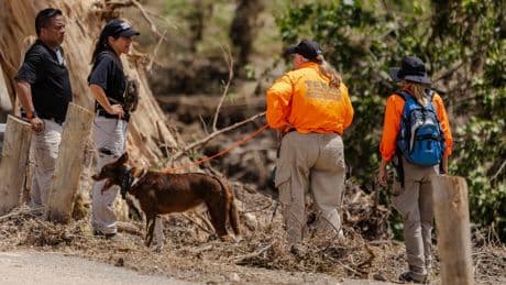 Texas floods latest: NASA joins search with specialised aircraft as death toll rises to 119 and 170 still missing