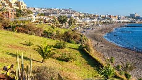 The 7 best things to do in Tenerife’s Costa Adeje, from sunbathing to whale watching