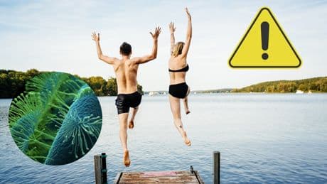 Diese Online-Karte zeigt: Welche Badeseen Sie besser meiden sollten