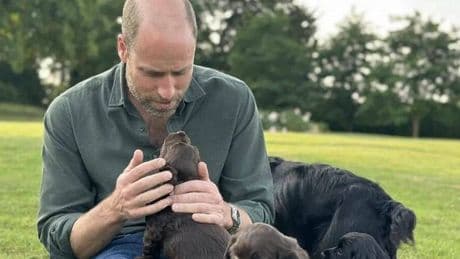 Kate Middleton and Prince William attacked by activists with 'ridiculous' pet complaint