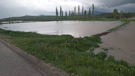 Erzincan’da sağanak etkili oldu: Tarım arazileri göle döndü