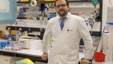 El 'secreto' del hígado sano: así protegen las células estrelladas este órgano vital