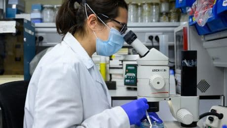 Un estudio relaciona el envejecimiento con unas mutaciones mitocondriales &#039;ocultas&#039;, una alteración rara