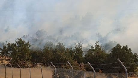 Şırnak’ta örtü yangını