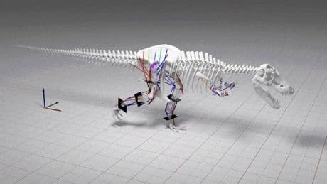 Simulan el movimiento de los dinosaurios y ponen nombre y apellidos al más rápido de todos