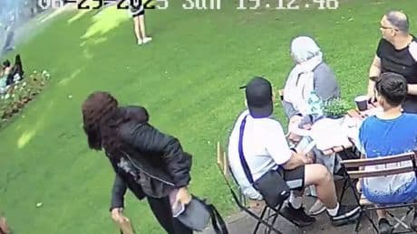Feral teen gang in Scots park 'hurled firework at mums with babies'