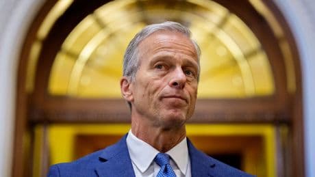 Thune stuck between Trump's demands, members' recess plans