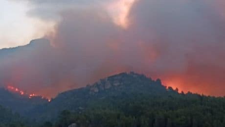 El incendio de Tarragona avanza descontrolado y hay ya 9 pueblos confinados
