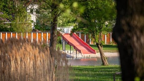 Dresden: Naturbad Mockritz wegen Zerkarien für zwei Tage geschlossen