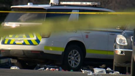 Teen skateboarder succumbs to his injuries after being struck by a vehicle
