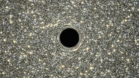 Mega-collisione di buchi neri svelata dalle onde gravitazionali: è la più grande mai registrata