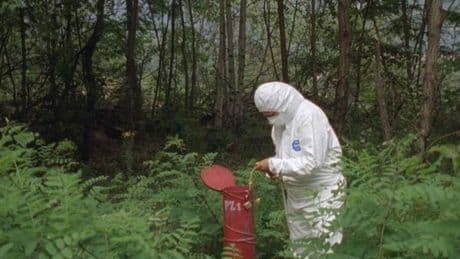 Erinnerung in Ruinen: Wenn Kunst Zerstörung sichtbar macht