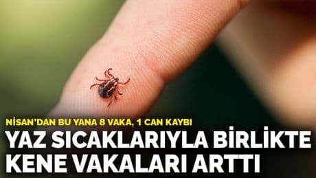 Yaz sıcaklarıyla birlikte kene vakaları arttı: Nisan’dan bu yana 8 vaka, 1 can kaybı