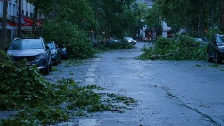 Arbres couchés, pylône effondré, église éventrée... Les images des violents orages qui ont frappé la France