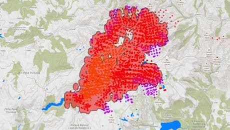 Vecinos logran frenar el fuego que entró a Ourense por Zamora y proteger un bosque de tejos centenarios
