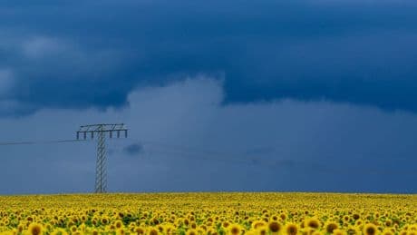 Ungemütliche Wetteraussichten mit Gewitter und Regen