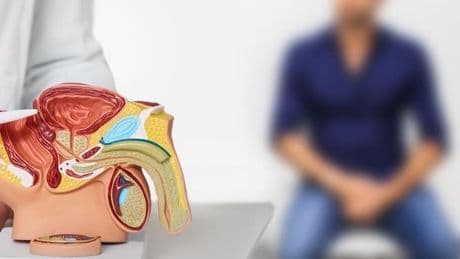 CIC BioGune revoluciona sus laboratorios para convertirse en líder mundial en el estudio del metabolismo del cáncer