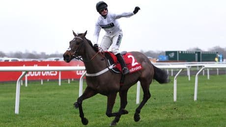Templegate tips Constitution Hill to bounce back on day four of Punchestown Festival