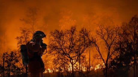 Incendie : quatre hectares brûlés à Fréjus, un camping et des logements évacués