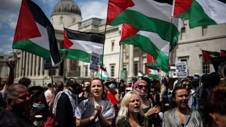 MPs vote to ban Palestine Action alongside neo-Nazi militias after backlash