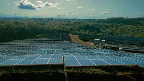 La nueva brecha en la agricultura: la rentabilidad del pistacho llega tras años y el sol paga desde el primer contrato de arrendamiento