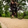 Berliner Polizei ermittelt: Radfahrer rast Mitarbeiter des Ordnungsamtes im Treptower Park um