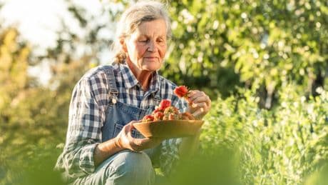 Nine foods the over-60s should eat every week