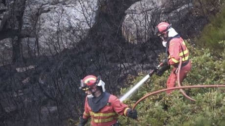 El testimonio de una ganadera afectada por los incendios &quot;No podemos batallar todos los días con la Administración&quot;