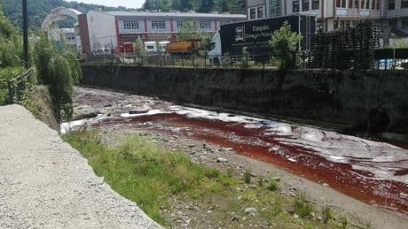 Rize'de kurban kanları dereyi ve denizi kırmızıya boyadı