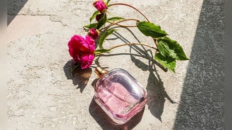 So halten Beauty-Produkte länger: Wo bewahrt man Kosmetik im Sommer auf?