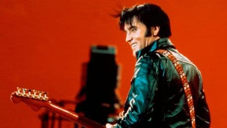 Elvis, seine Stimme und ich