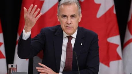 Carney vows to transform Canadian economy to 'stand up' to Trump