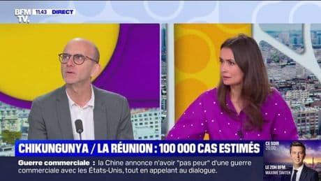 Chikungunya à La Réunion: "Le virus ne se transmet pas d'homme à homme", explique le directeur de l'unité virus et immunité de l'Institut Pasteur