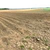Droogte was in Vlaanderen tot de twintigste eeuw nooit een groot probleem, niet voor de landbouw, niet voor het drinkwater