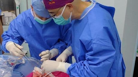 Realizan el primer trasplante de un pulmón de cerdo a un paciente humano