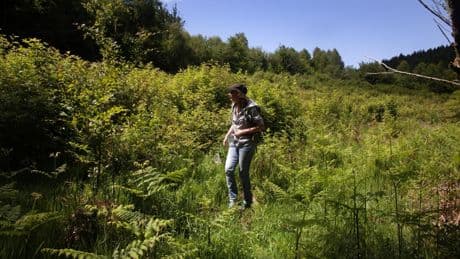 Un été à la campagne : dans le Morvan, un parc naturel palpitant de vie