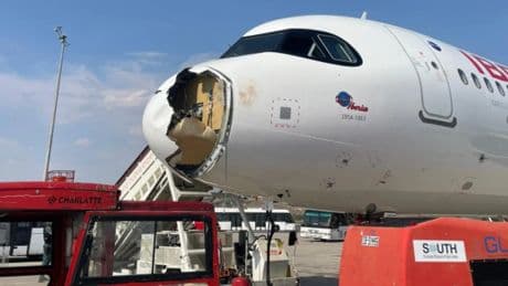 Neuer Airbus-Typ: Vogelschlag zwingt Flugzeug zur Rückkehr nach Madrid