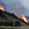 Firefighters battle large gorse fire at Scottish tourist attraction