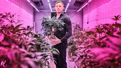 Met precies het juiste licht kun je precies de juiste medicinale cannabis maken