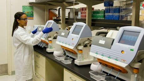 Tumori, nasce il bioreattore che riproduce la malattia in laboratorio: lo studio con l'Università Sapienza di Roma