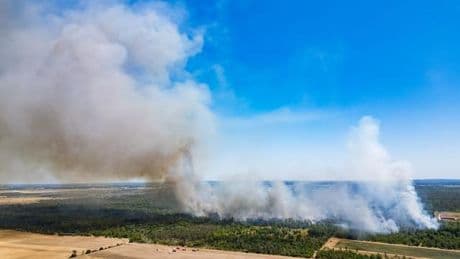 Sachsen und Brandenburg: Waldbrand in Gohrischheide - Ort Heidehäuser wird evakuiert