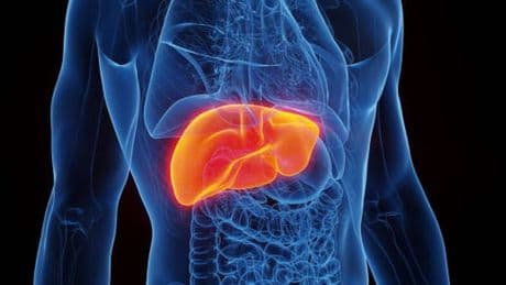 Doctor shares the ‘most dangerous’ food for your liver and it’s not alcohol