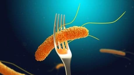 Salmonella ve bacillus cereus’un tehdidi: Uzmanından gıda güvenliğine dair çarpıcı uyarılar