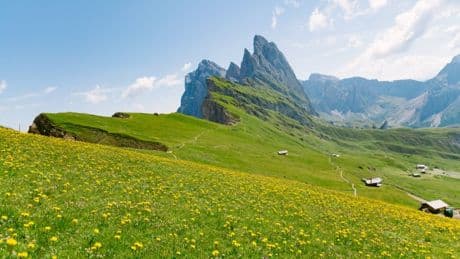 Even Italian farmers have stepped in on overtourism with this ‘pointless’ €5 charge