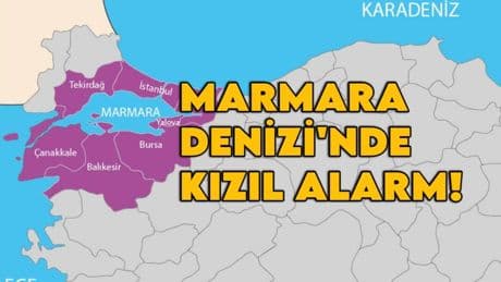 Marmara’da kızıl alarm! Deniz renk değiştirdi: Sadece görüntüsü değil, kokusu da endişelendiriyor