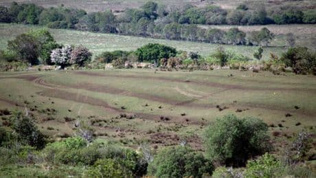 ‘Human remains & bones’ found in slurry on field near missing Kerry man Michael Gaine’s farm as ‘crime scene’ declared